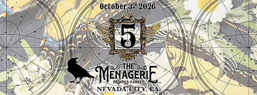 The Menagerie Oddities Market